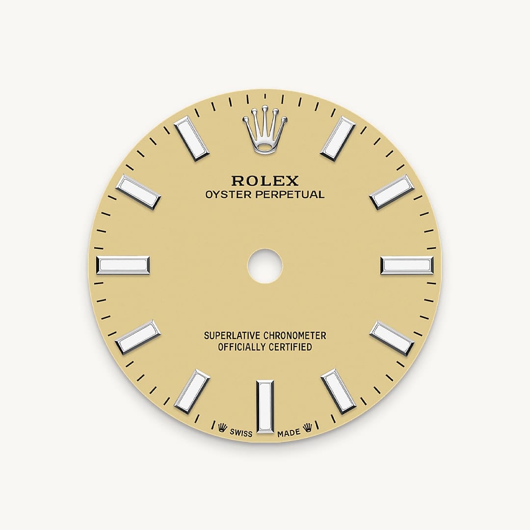 Rolex Watches Rolex Oyster Perpetual M276200-0007
