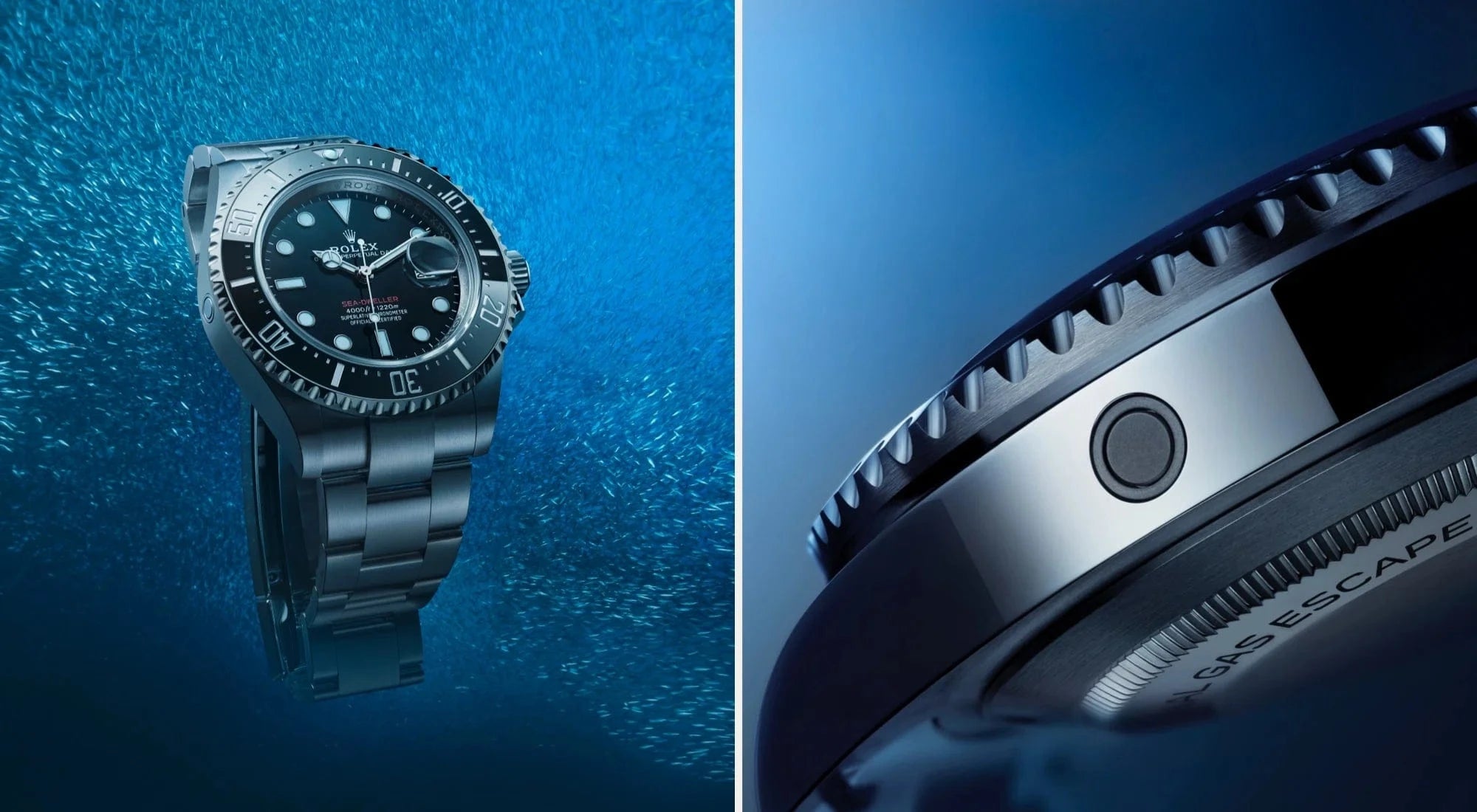 rolex sea-dweller watches - touch of gold