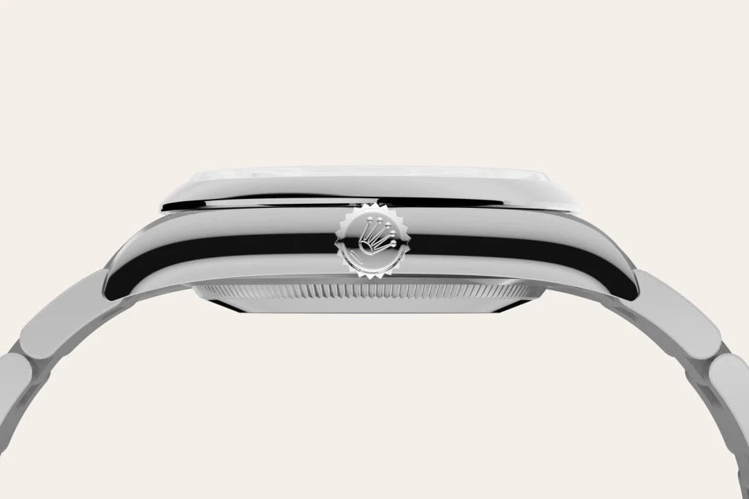 Rolex Watches Rolex Oyster Perpetual 36 M126000-0013