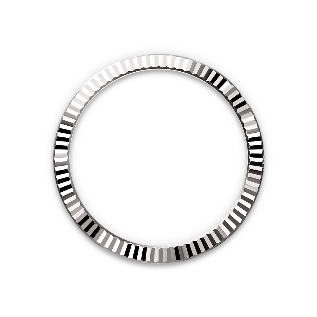 Rolex Watches Rolex Datejust 41 M126334-0002