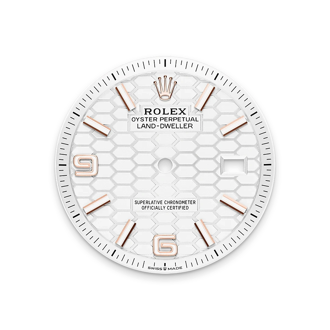 Rolex Watches Rolex Land-Dweller 36 M127235-0001
