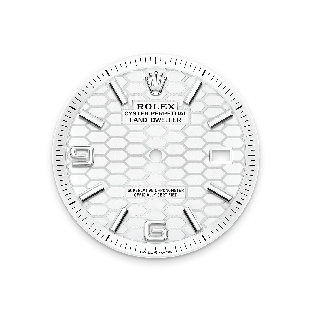 Rolex Watches Rolex Land-Dweller 40 M127334-0001