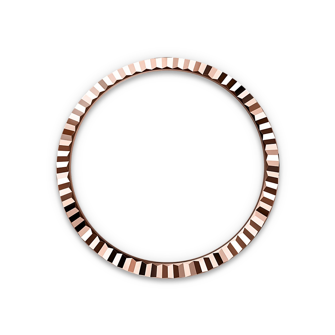 Rolex Watches Rolex Land-Dweller 40 M127335-0001