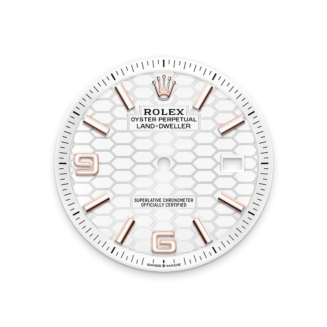 Rolex Watches Rolex Land-Dweller 40 M127335-0001