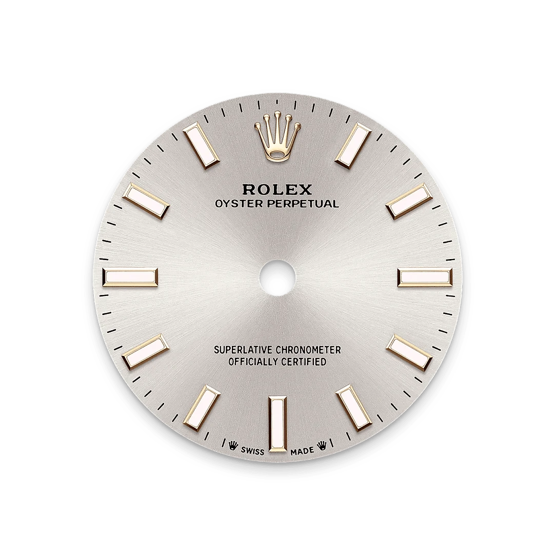 Rolex Watches Rolex Oyster Perpetual 28 M276200-0001