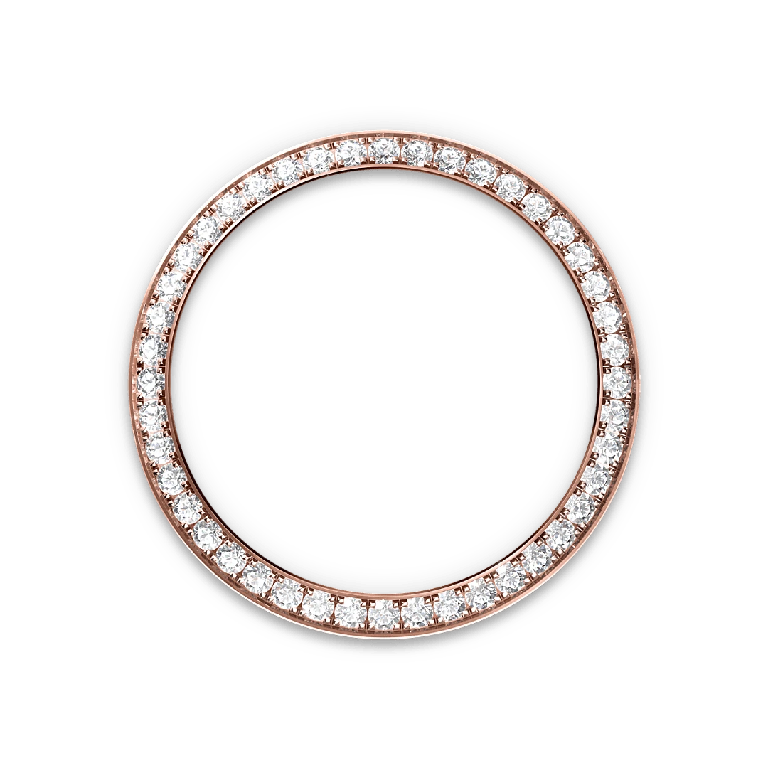 Rolex Watches Rolex Lady-Datejust M279135RBR-0001
