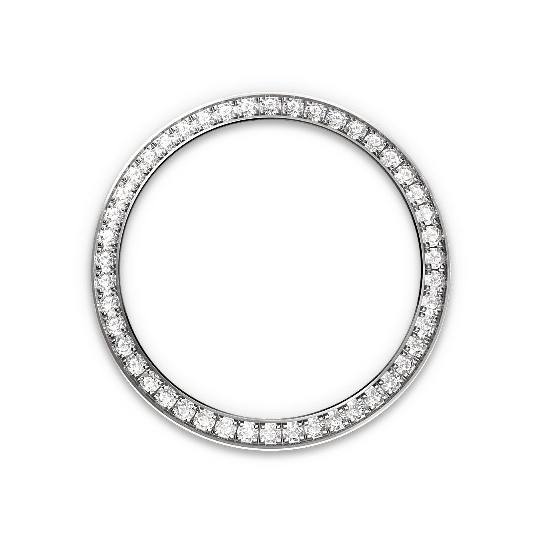 Rolex Watches Rolex Lady-Datejust M279384RBR-0004