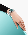 Omega Watch OMEGA SEAMASTER AQUA TERRA SHADES 38MM