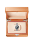 Omega Watch OMEGA SEAMASTER AQUA TERRA SHADES 38MM