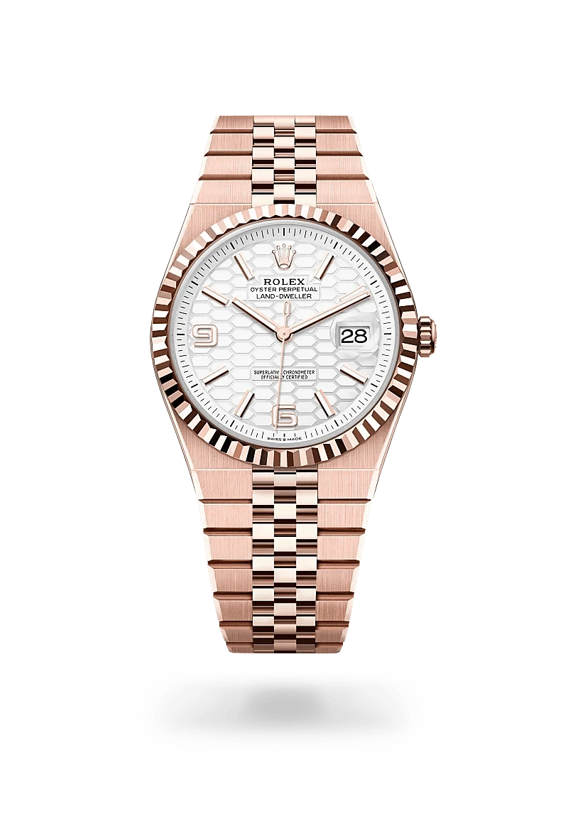 Rolex Watches Rolex Land-Dweller 40 M127335-0001