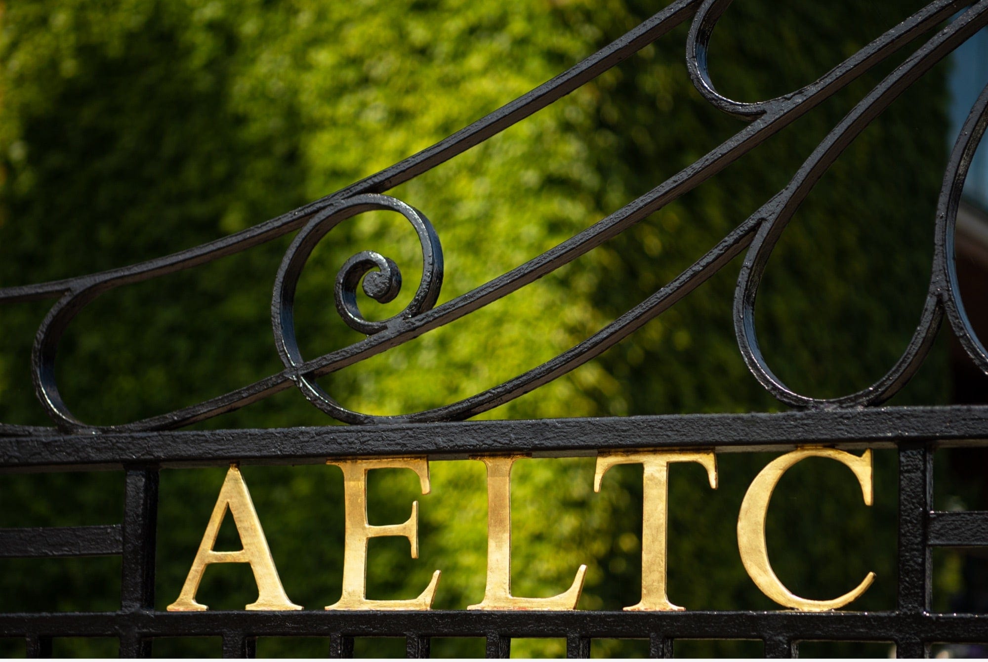 Rolex and The Championships, Wimbledon - Touch of Gold