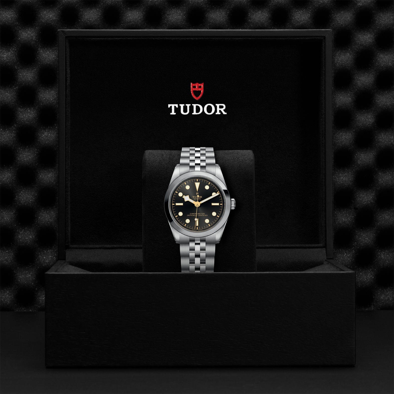 TUDOR Black Bay 36 Watch | Touch of Gold