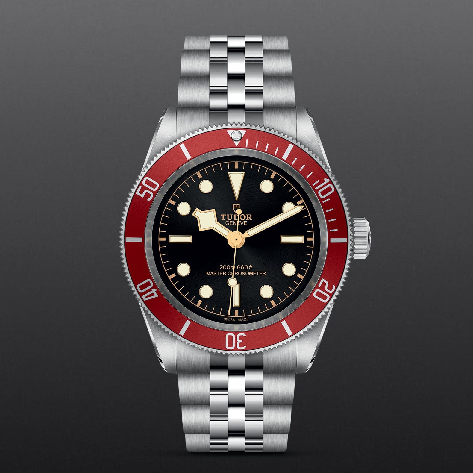 TUDOR BLACK BAY Watch Touch of Gold
