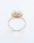 Amden Jewelry Jewellery - Engagement Ring Amden 14K Rose and White Diamond Halo Ring