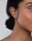 Birks Jewellery - Earrings - Hoop Birks 18K Yellow Gold Muse 15mm Hoops