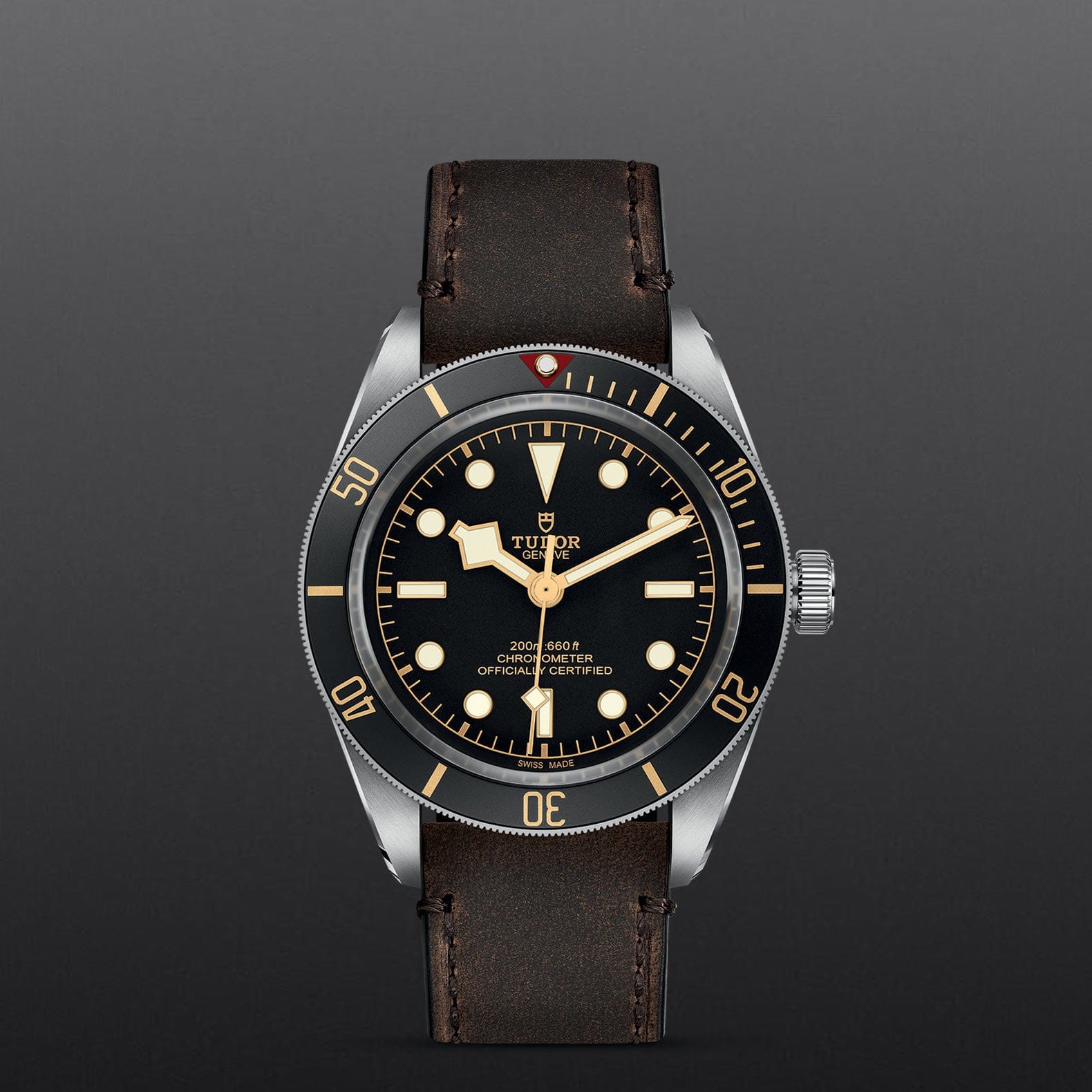 BLACK BAY FIFTY-EIGHT Watch Touch of Gold
