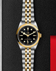 TUDOR TUDOR Black Bay 36 S&G