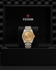 TUDOR TUDOR Black Bay 36 S&G