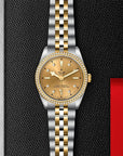 TUDOR TUDOR Black Bay 36 S&G