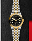 TUDOR TUDOR Black Bay 39 S&G