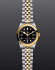 TUDOR TUDOR Black Bay 39 S&G