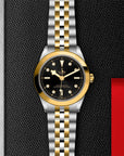 TUDOR TUDOR Black Bay 39 S&G