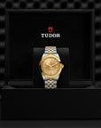 TUDOR TUDOR Black Bay 39 S&G