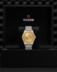 TUDOR TUDOR Black Bay 39 S&G