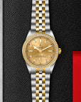 TUDOR TUDOR Black Bay 39 S&G