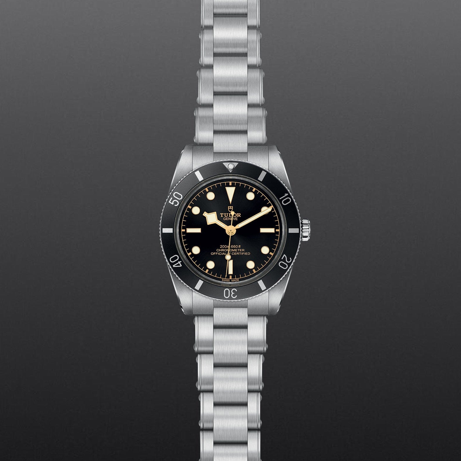 TUDOR BLACK BAY 54 Watch Touch of Gold