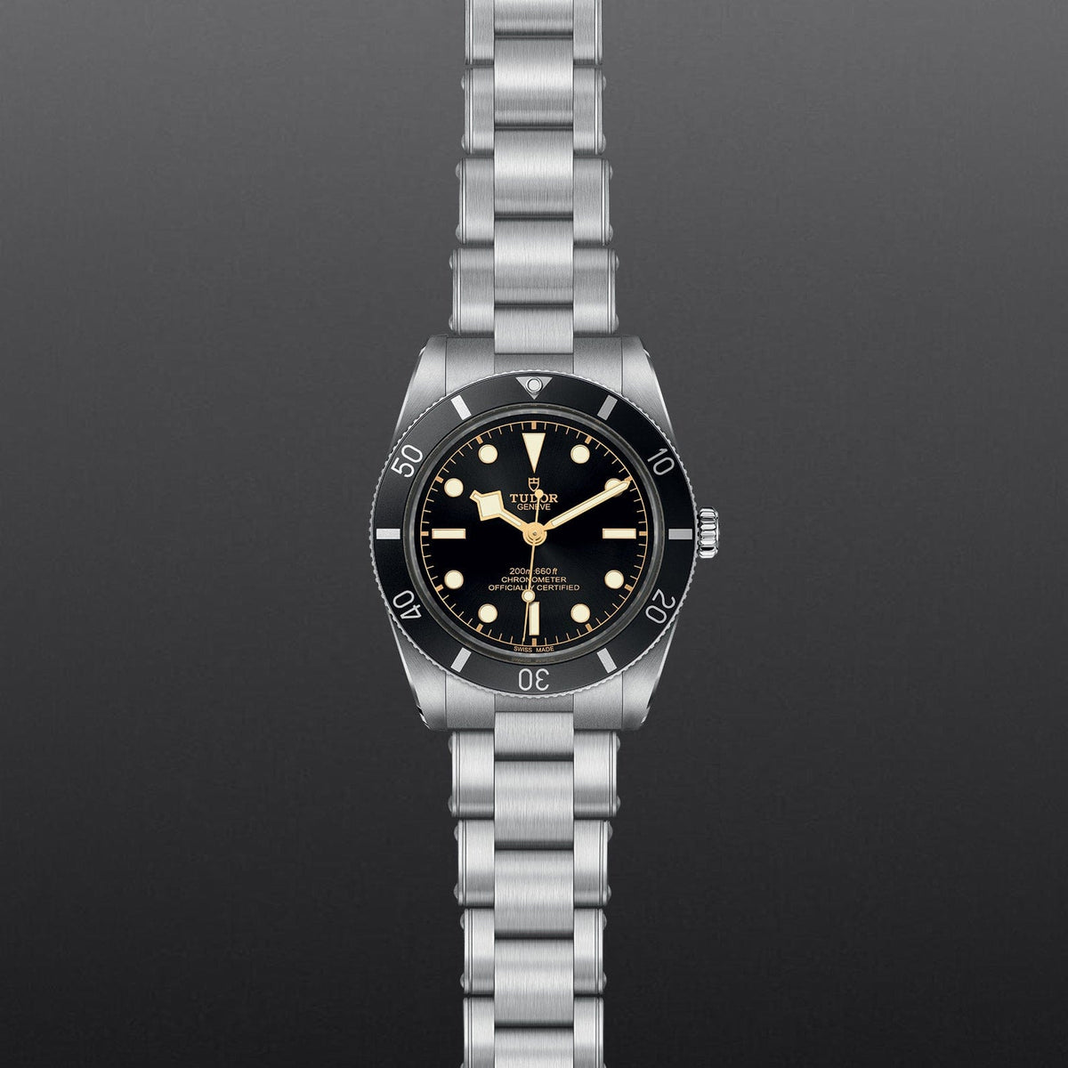 TUDOR BLACK BAY 54 Watch Touch of Gold