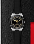 TUDOR Watch TUDOR Black Bay 54