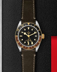 TUDOR TUDOR Black Bay GMT S&G