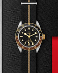 TUDOR TUDOR Black Bay GMT S&G