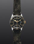 TUDOR Watches TUDOR Black Bay S&G