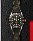 TUDOR Watches TUDOR Black Bay S&G