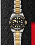 TUDOR Watches TUDOR BLACK BAY S&G