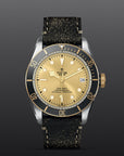 TUDOR Watches TUDOR Black Bay S&G