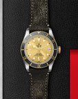 TUDOR Watches TUDOR Black Bay S&G