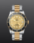 TUDOR Watches TUDOR Black Bay S&G