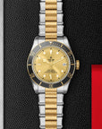 TUDOR Watches TUDOR Black Bay S&G