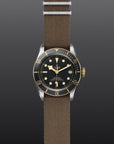 TUDOR Watches TUDOR Black Bay S&G