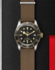 TUDOR Watches TUDOR Black Bay S&G