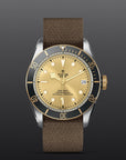 TUDOR Watches TUDOR Black Bay S&G