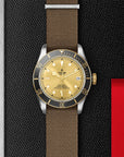 TUDOR Watches TUDOR Black Bay S&G