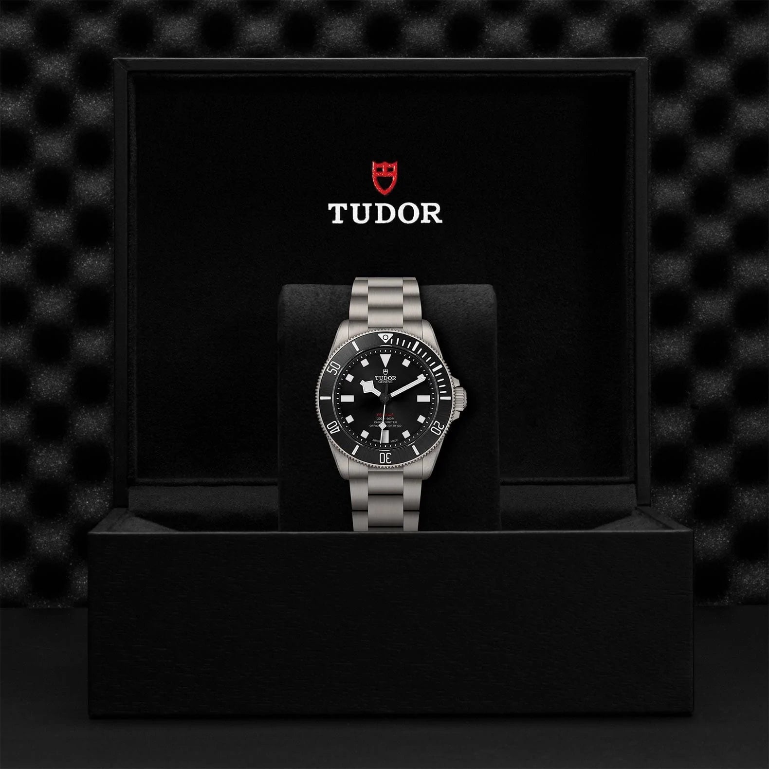 Tudor pelagos sale