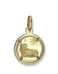 Rich Jewellery Jewellery - Necklace 10K Yellow Gold Leo Zodiac Disc Pendant