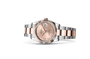 Rolex Watches [15990] Rolex Datejust 36 M126231-0028
