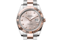 Rolex Watches [16066] Rolex Datejust 41 M126331-0007