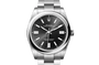 Rolex Watches [17563] Rolex Oyster Perpetual 41 M124300-0002
